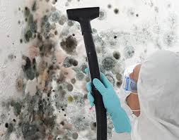 Best Comprehensive Air Testing for Mold Contaminants  in Runnemede, NJ